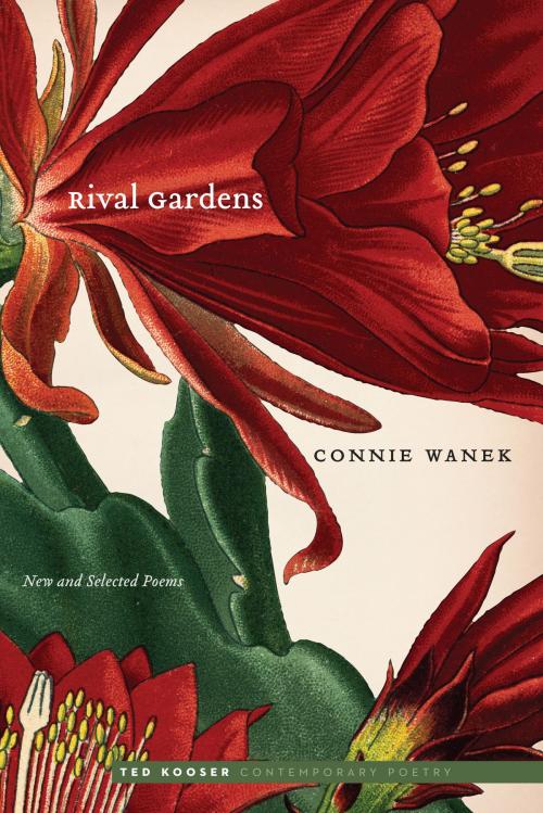 Cover of the book Rival Gardens by Connie Wanek, UNP - Nebraska