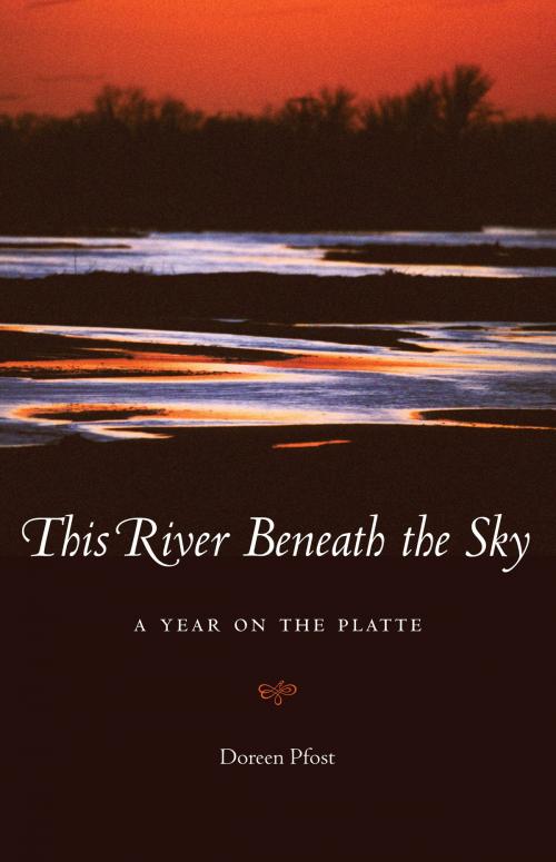 Cover of the book This River Beneath the Sky by Doreen Pfost, UNP - Bison Books