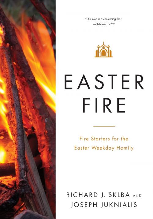 Cover of the book Easter Fire by Richard J. Sklba, Joseph Juknialis, Liturgical Press