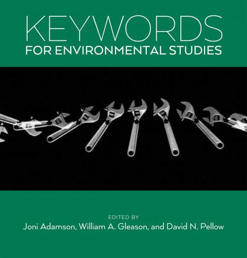 Cover of the book Keywords for Environmental Studies by , NYU Press