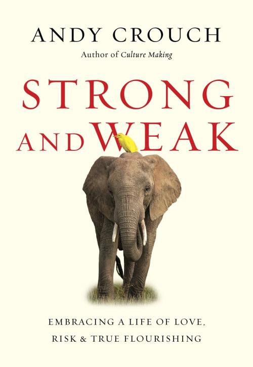 Cover of the book Strong and Weak by Andy Crouch, IVP Books