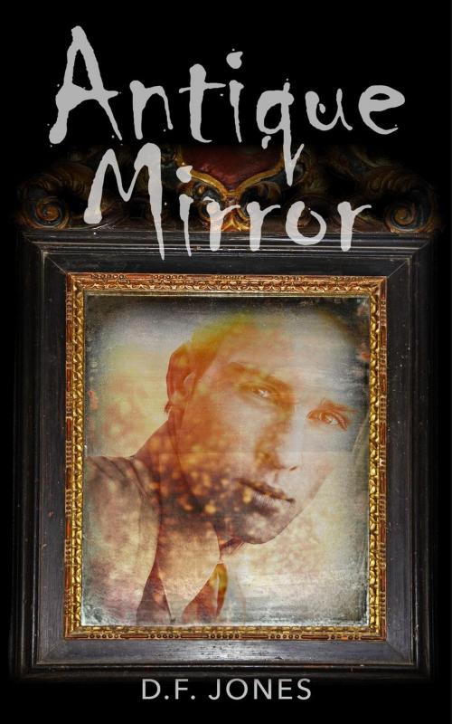 Cover of the book Antique Mirror by D. F. Jones, D.F.Jones
