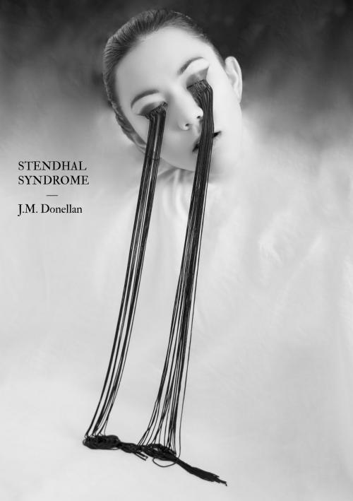 Cover of the book Stendhal Syndrome by J.M. Donellan, Odyssey Books