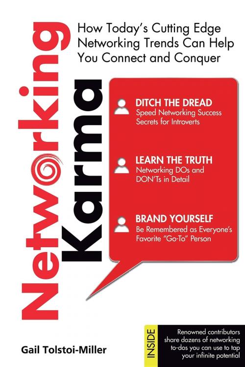 Cover of the book Networking Karma by Gail Tolstoi-Miller, Consultnetworx