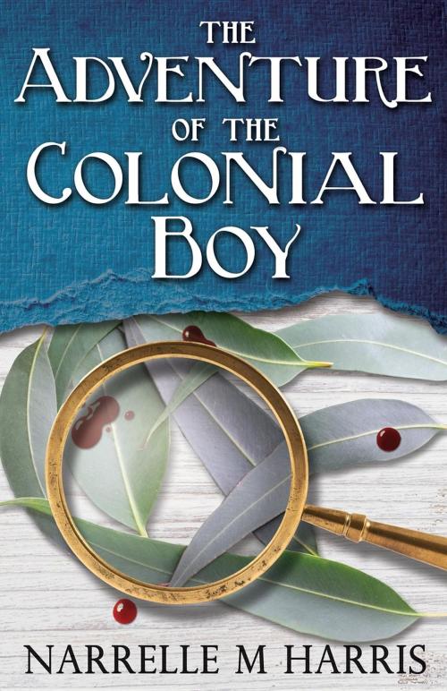 Cover of the book The Adventure of the Colonial Boy by Narrelle M. Harris, Improbable Press Limited