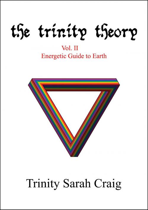 Cover of the book The Trinity Theory by Trinity Sarah Craig, Trinity Artistix Corporation