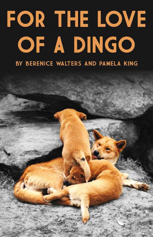 Cover of the book For the love of a Dingo by Pamela King, Taufer