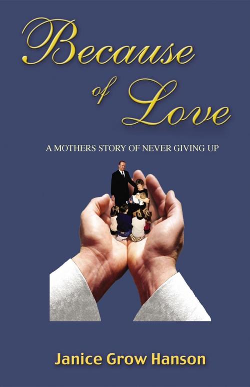 Cover of the book Because of Love by Janice Grow Hanson, Linden Avenue Press