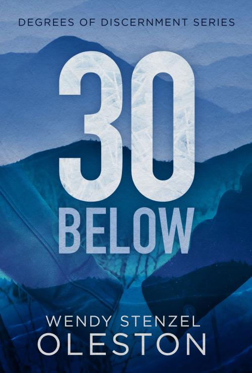 Cover of the book 30 Below by Wendy Oleston, Maven Christian