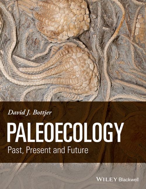 Cover of the book Paleoecology by David J. Bottjer, Wiley