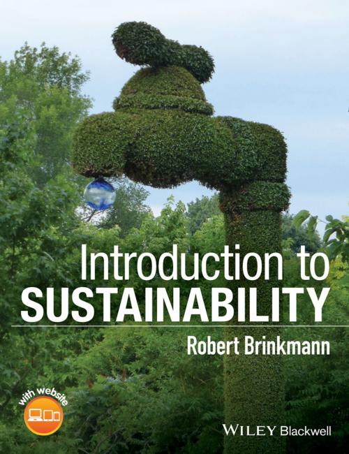 Cover of the book Introduction to Sustainability by Robert Brinkmann, Wiley