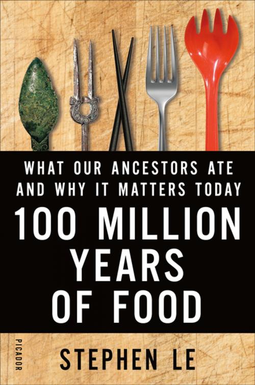 Cover of the book 100 Million Years of Food by Stephen Le, Picador