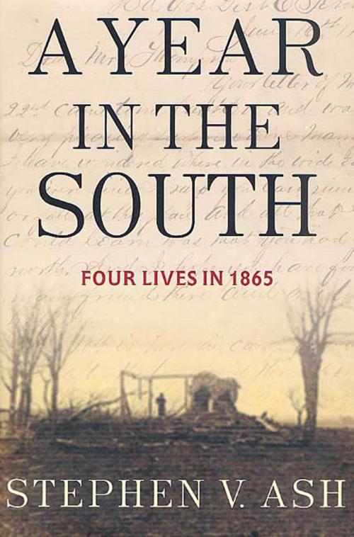 Cover of the book A Year in the South by Stephen V. Ash, St. Martin's Press