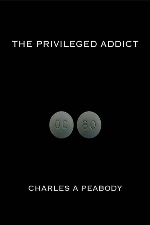 Cover of the book The Privileged Addict by Charles A. Peabody, Lulu.com