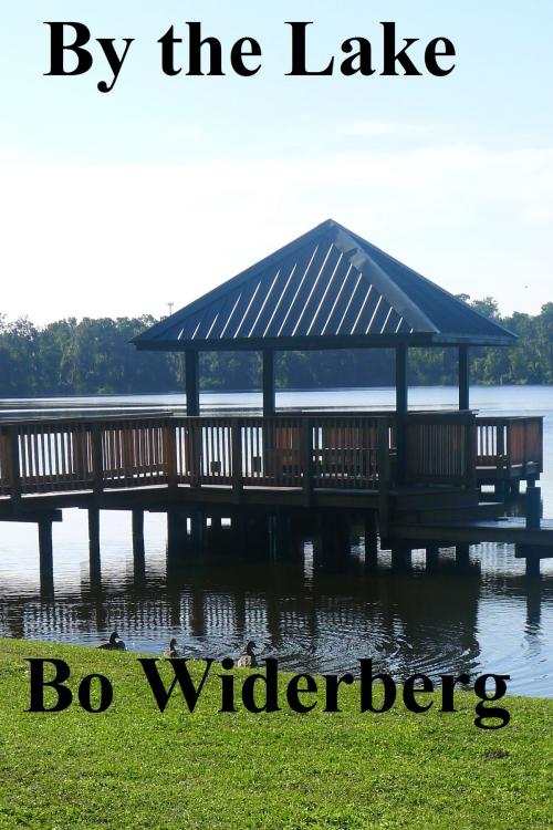 Cover of the book By the Lake by Bo Widerberg, Bo Widerberg