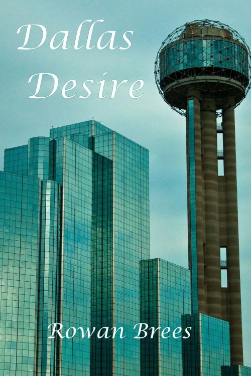 Cover of the book Dallas Desire by Rowan Brees, Rowan Brees
