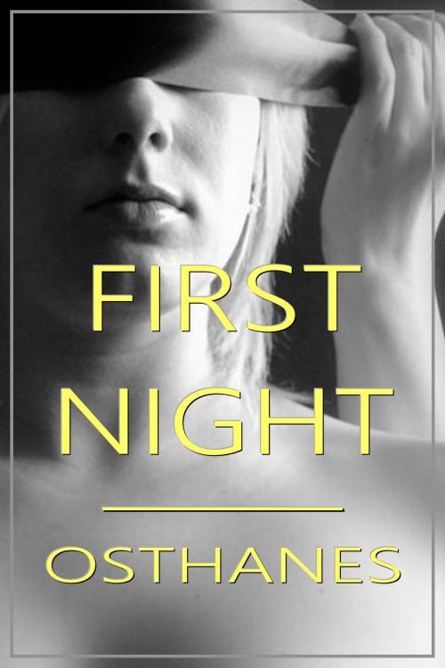 Cover of the book First Night by Osthanes, Osthanes