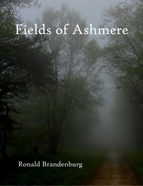 Cover of the book Fields of Ashmere by Ronald Brandenburg III, Ronald Brandenburg III