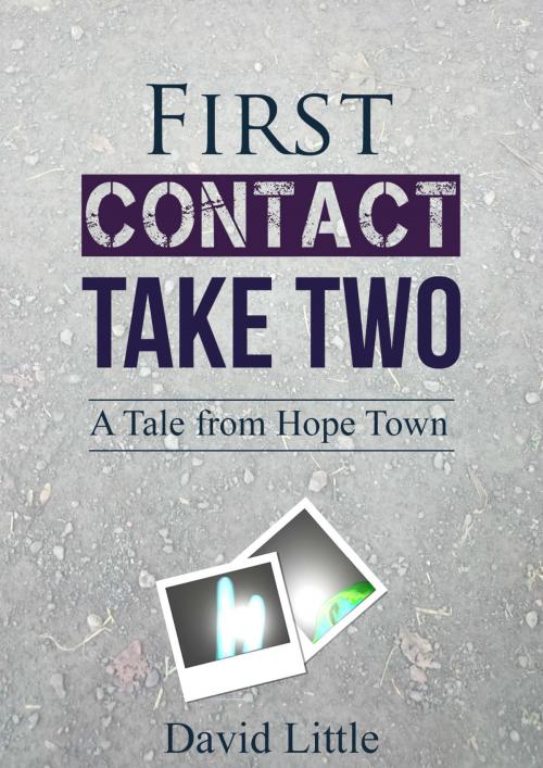 Cover of the book First Contact: Take Two by David Little, David Little