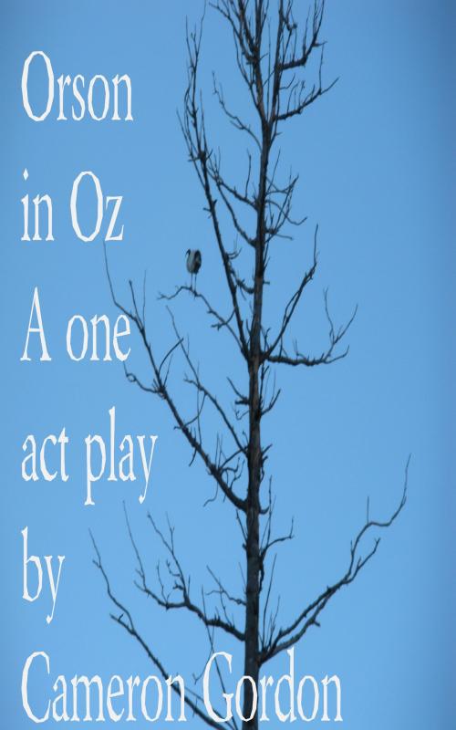 Cover of the book Orson in Oz by Cameron Gordon, Cameron Gordon