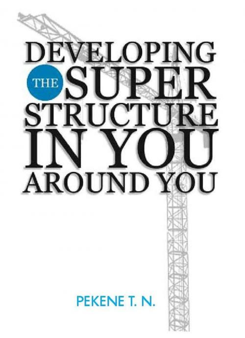 Cover of the book Developing The Superstructure In You Around You by Pekene T. N., Pekene T. N.