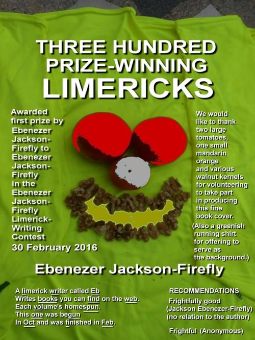 Cover of the book Three Hundred Prize-Winning Limericks by Ebenezer Jackson-Firefly, Ebenezer Jackson-Firefly
