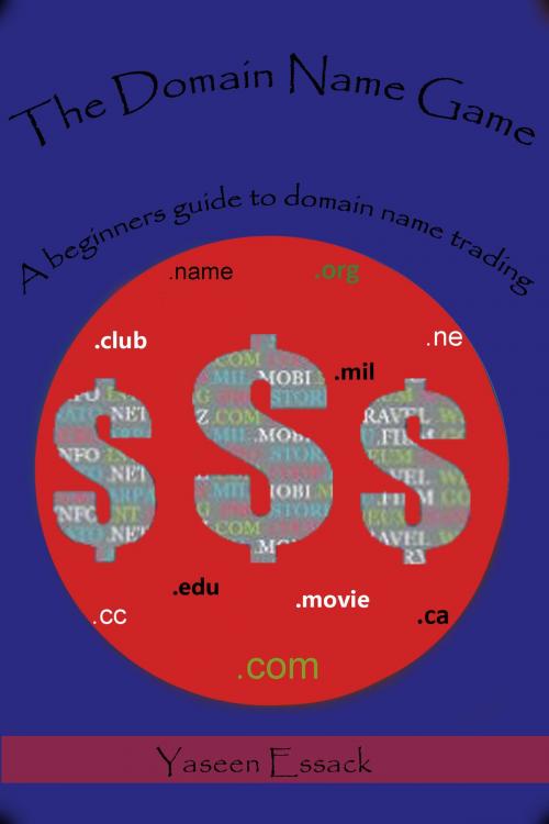 Cover of the book The Domain Name Game by Yaseen Essack, Yaseen Essack