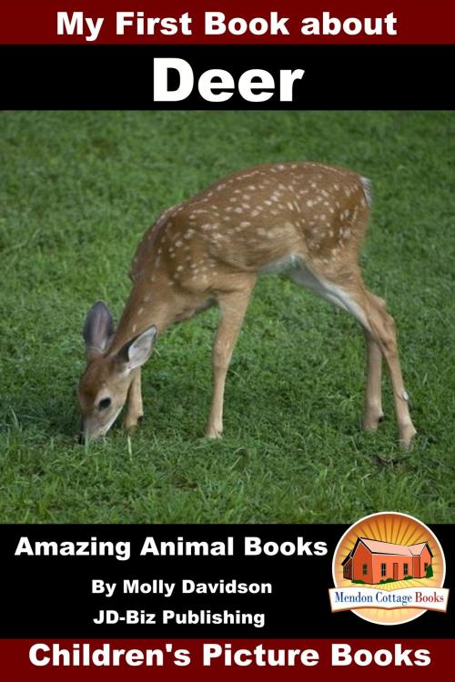 Cover of the book My First Book about Deer: Amazing Animal Books - Children's Picture Books by Molly Davidson, Mendon Cottage Books