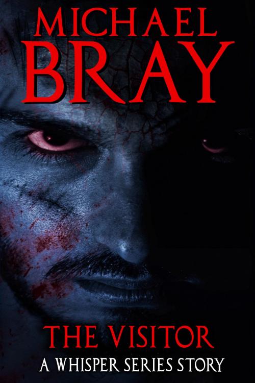 Cover of the book The Visitor: A Whisper Series story by Michael Bray, Michael Bray