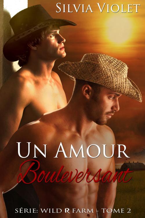 Cover of the book Un Amour Bouleversant by Silvia Violet, Silvia Violet