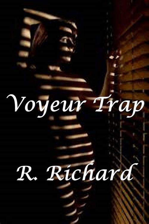 Cover of the book Voyeur Trap by R. Richard, R. Richard