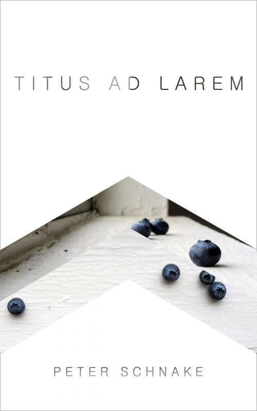 Cover of the book Titus Ad Larem by Peter Schnake, Peter Schnake