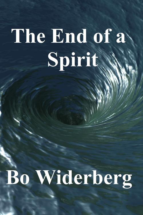 Cover of the book The End of a Spirit by Bo Widerberg, Bo Widerberg