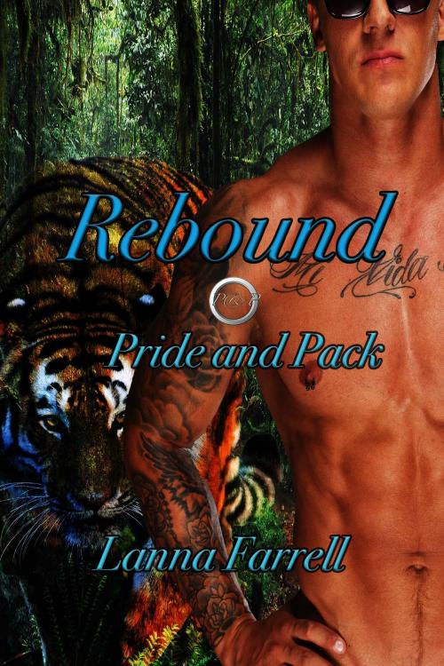Cover of the book Rebound by Lanna Farrell, JK Publishing, Inc.