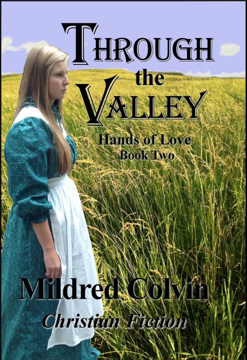 Cover of the book Through the Valley by Mildred Colvin, Mildred Colvin
