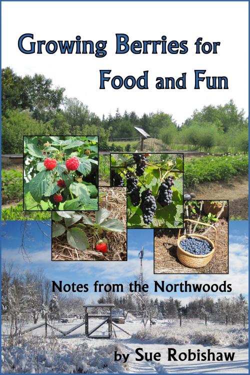 Cover of the book Growing Berries for Food and Fun: Notes from the Northwoods by Sue Robishaw, ManyTracks