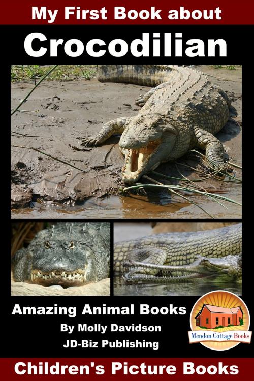 Cover of the book My First Book about Crocodilian: Amazing Animal Books - Children's Picture Books by Molly Davidson, Mendon Cottage Books
