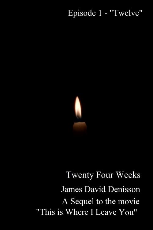 Cover of the book Twenty Four Weeks: Episode 1 - "Twelve" by James David Denisson, James David Denisson