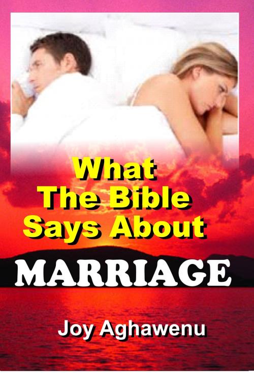 Cover of the book What The Bible Says About Marriage by Joy Aghawenu, Mongraphics Ltd
