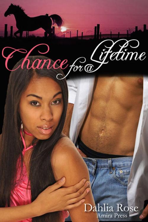 Cover of the book Chance Of A Lifetime by Dahlia Rose, Dahlia Rose