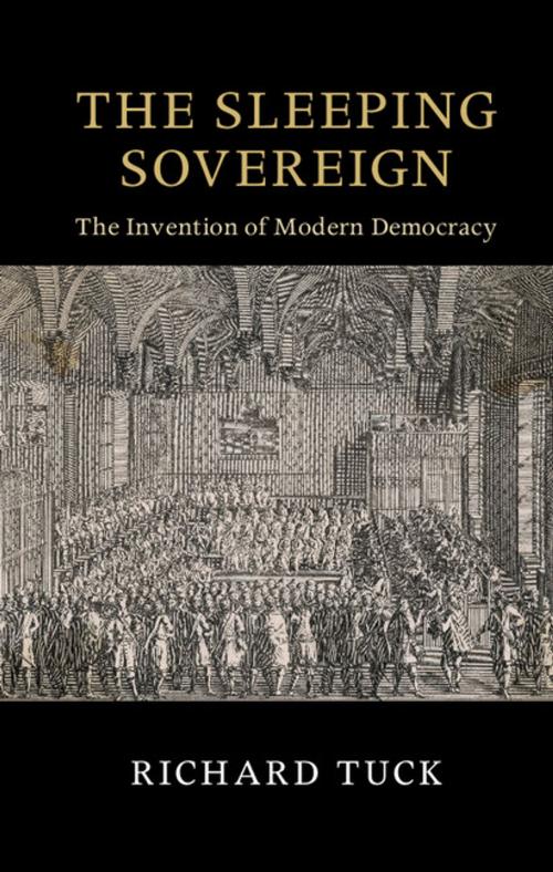 Cover of the book The Sleeping Sovereign by Richard Tuck, Cambridge University Press