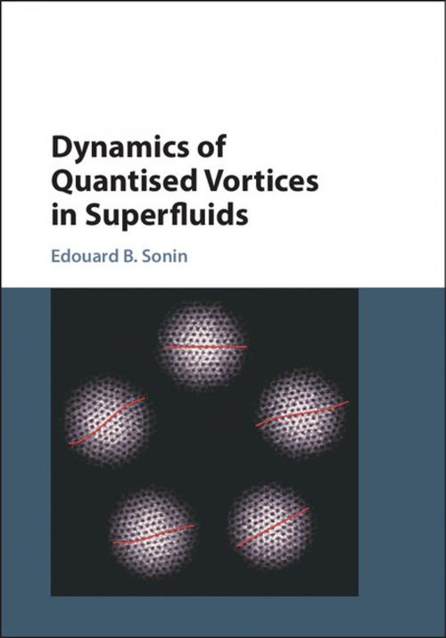 Cover of the book Dynamics of Quantised Vortices in Superfluids by Edouard B. Sonin, Cambridge University Press