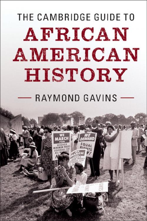 Cover of the book The Cambridge Guide to African American History by Raymond Gavins, Cambridge University Press