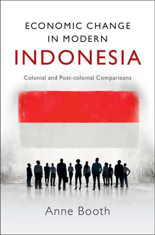 Cover of the book Economic Change in Modern Indonesia by Anne Booth, Cambridge University Press