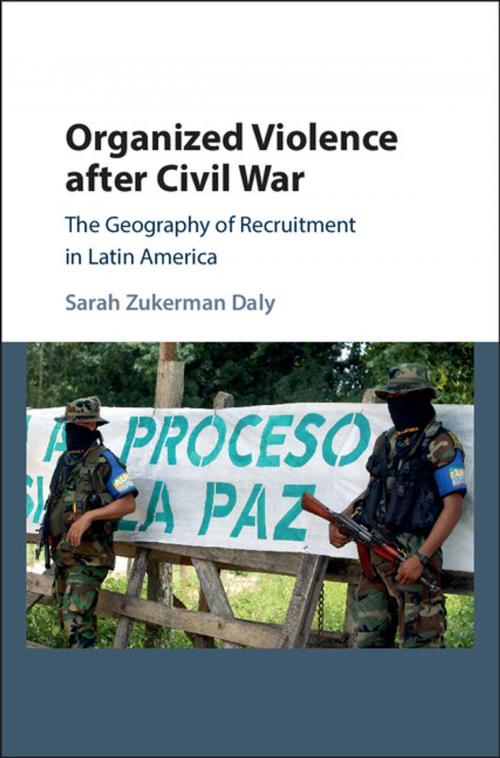 Cover of the book Organized Violence after Civil War by Sarah Zukerman Daly, Cambridge University Press