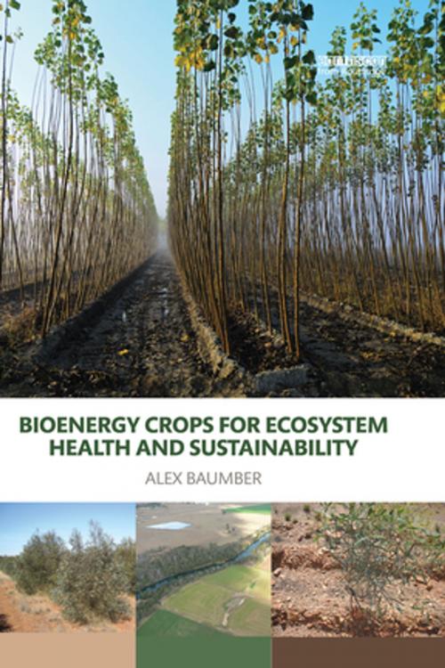 Cover of the book Bioenergy Crops for Ecosystem Health and Sustainability by Alex Baumber, Taylor and Francis