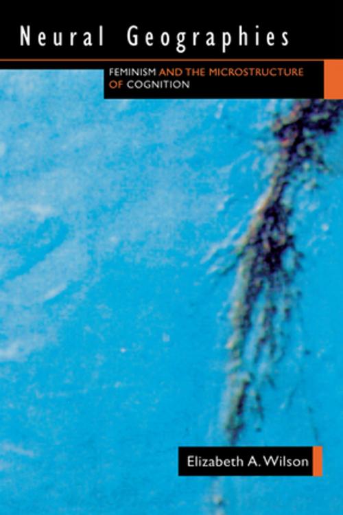 Cover of the book Neural Geographies by Elizabeth A. Wilson, Taylor and Francis