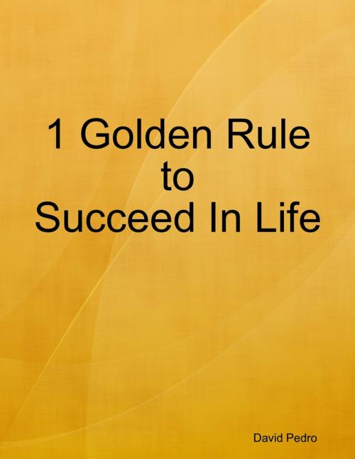 Cover of the book 1 Golden Rule to Succeed In Life by David Pedro, Lulu.com