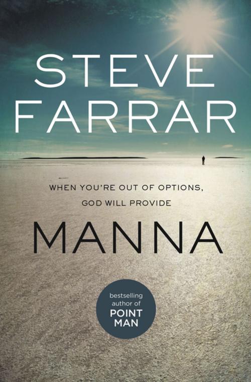 Cover of the book Manna by Steve Farrar, Thomas Nelson