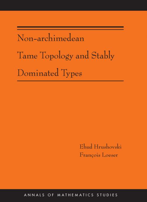 Cover of the book Non-Archimedean Tame Topology and Stably Dominated Types (AM-192) by Ehud Hrushovski, François Loeser, Princeton University Press